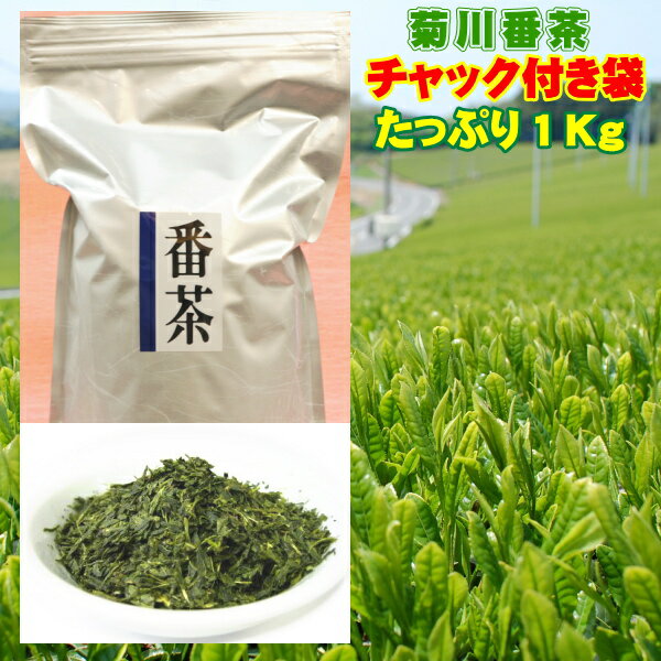 お茶 緑茶 番茶 菊川番茶 1キロ 静岡