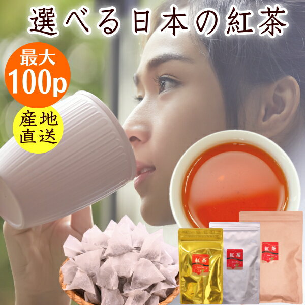 無添加 日本の紅茶 グレードで選べる和紅茶ティーバッグ 最大100個入 静岡産 アイスティーでもホットでも 送料無料 …