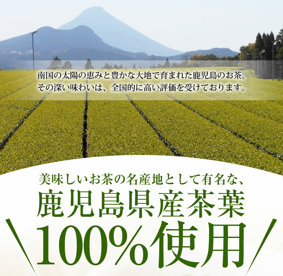 お茶 鹿児島産 緑茶ティーパック 100個 送料無料 業務用 緑茶 煎茶 九州産 ティーバッグ