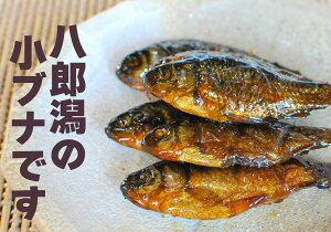 【鮒の甘露煮】おつまみやご飯のお供に！美味しい鮒甘露煮のおすすめは？