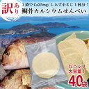 【訳あり カルシウムせんべい 40袋 】魚の骨入り 送料無料 天草産 真鯛使用 手軽カルシウムお煎餅 栄養補給 健康 おやつ おつまみ 国産素材 詰め合わせ 大...