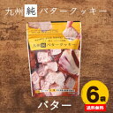 九州純バタークッキー 6袋 送料無料 国産 素材 昭栄堂 国産素材にこだわった 高千穂バター チクゴイズミ ぼる塾 田辺 国産 宮崎 バタークッキー 美味しい スノーボール クッキー 卵不使用 プチギフト 和三盆 カルディ