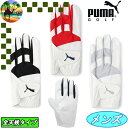【スプリングセール開催中】041881 プーマゴルフ フュージョングリップ 2.0 ゴルフグローブ PUMA GOLF