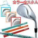 キャスコ　DW-120G　カラーカスタム　セミグースネック　ドルフィンウェッジ　イオミック装着　N.S.PRO950GH neo　Dolphin Wedge　DW120G　レアモノ