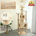 ＼楽天1位／キャットタワー 木製 天然 おしゃれ スロープ 大型猫 据え置き キャット タワー 猫用品 多頭飼い 段階 透明宇宙船 ハンモック 猫ハウス おしゃれ 爪とぎ ネコ 猫用 運動不足 ストレス解消 安定性抜群