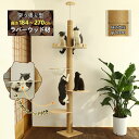 キャットタワー 突っ張り 木製 スリム 大型猫 省スペース 据え置き 木登り猫タワー 透明宇宙船 天然木 おしゃれ クリアボウルハンモック 木登りタワー 爪とぎ...