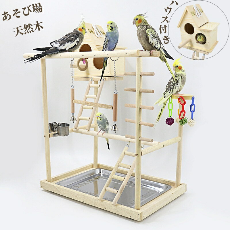 楽天市場】バードジム(鳥用品|ペット・ペットグッズ)の通販 楽天市場】バードジム(鳥用品|ペット・ペットグッズ)の通販