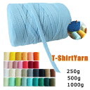 送料無料 Tシャツヤーン 【単色】1玉＝約100m T-SHIRT YARN リボンヤーン flat yarn ribbon yarn フックドゥ スパゲッティ ハンドメイド 手芸 DIY 手作り マスク 紐 ゴム 編み物 極太糸 楽天海外通販