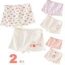 送料無料 2枚セット 女の子 キッズパンツ 95%棉 通気 女児用 ショーツ キッズ 下着 綿 柔らかい 肌着 無蛍光 吸湿 快適 子供服 短パン ガールズ ジ...