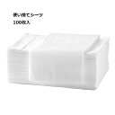送料無料 使い捨てシーツ ペーパーシーツ 不織布 ベッドシーツ 美容院用 ホワイト 80x180cm 100枚入 薄い 防水しない 美容院 エステ用 サロン用 ...