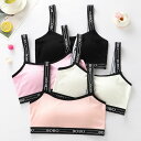 送料無料 2枚セット スポーツブラ ガールズ 薄いパット入り ジュニア ブラジャー 肌着 無蛍光 かわいい 通気性よい 下着 部活ブラ 中学生 小学生 ガールズ...