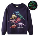 送料無料 子供服 男の子 夜光 Tシャツ 80%棉 光る 長袖 トップス パーカー ボーイズ キッズ 恐竜柄 上着 普段着 男児 蓄光 カジュアル ファッション 丸襟 柔らかい 可愛い 快適 春 秋 楽天海外通販