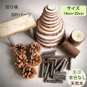 送料無料 木製コースター 木製スライス 木材チップ 14cm-20cm 滑り止め断熱マット 茶パッド DIYパーツ 木製 天然木 切り株 コースター シンプル ナチュラル 円形 DIY 工芸品 結婚式 パーティー 誕生日 装飾 楽天海外通販
