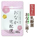 おなか宅配便 酪酸菌 植物性乳酸菌 ビフィズス菌 善玉菌 酵素 お通じ サプリメント サプリ 送料無料 90粒