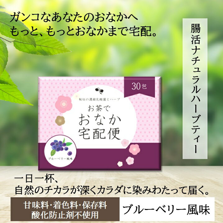 お茶でおなか宅配便 30包 腸活 ダイエット キャンドルブッシュ ハーブティー 便秘 送料無料 ブルーベリー味