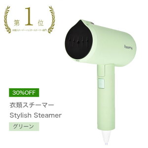 【楽天限定カラー】Rooomy Stylish Steamer グリーン | 衣類スチーマー 除菌 ハンディアイロン スチーマーアイロン スチームアイロン ハンガーにかけたまま シワ伸ばし 衣類スチーマー アイロン ハンディー ハンディ スチーマー 衣類 除菌 脱臭 送料無料