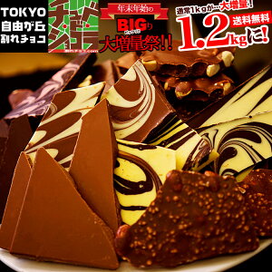 割れチョコミックス 1kg→1.2kgに増量！ 12種　ミルク/ビターから選べる 楽天スイーツランキング1位受賞！(12/4)　東京　自由が丘　チュベ・ド・ショコラ　クーベルチュール 記念日 パーティー チョコレート 大容量　ヒルナンデス