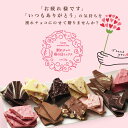 母の日 割れチョコMIX 1kg 12種　東京　自由が丘　チュベ・ド・ショコラ　行列ができる割れチョコ　ギフト　贈り物　母の日　割れチョコミックス【のし・ラッピング・メッセージカードOK】 2