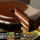 チョコレートケーキ 情熱と誘惑のザッハトルテ（ミルク／ビター）チュベ・ド・ショコラ【チョコケーキ】（割れチョコ　クーベルチュール）