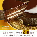 情熱と誘惑のザッハトルテ（ミルク／ビター）チュベ・ド・ショコラ【チョコケーキ】（割れチョコ　クーベルチュール）