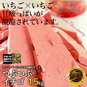 割れチョコつぶつぶ苺 1.5kg 東京 自由が丘 チュベ・ド・ショコラ クーベルチュールチョコレート ストロベリー ドライフルーツ ギフトラッピング不可