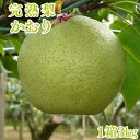 完熟梨 品種かおり3kg(1箱4~5個入り) 鎌ケ谷市の名産 かまたんのふるさと梨 かおり