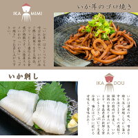 いか大満足セット父の日ギフト至福の晩酌おつまみセットプレゼントギフトお取り寄せグルメ詰め合わせおつまみセット晩酌セット珍味いかいかくちいか刺し大満足お中元三陸釜石井戸商店
