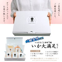 いか大満足セット