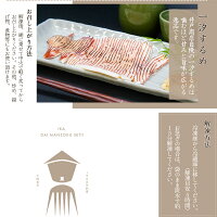 いか大満足セット