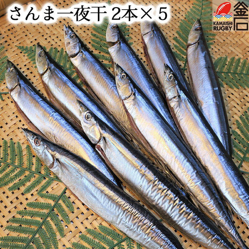 さんま 一夜干 【送料無料】 秋刀魚 おかず 岩手 三陸 釜石 干物 乾物 魚 永野商店