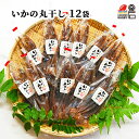 いかの丸干し 12袋セット 【送料無料】 金弁商店 三陸 5きげんテレビ ごきげんテレビ いか イカ スルメ 腑 イカ腑 いかふ つまみ 晩酌 酒 おつまみ お...