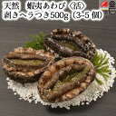 【送料無料】天然 蝦夷あわび〈活〉 500g (3~5 個) 剥きヘラつき ヤマキイチ商店