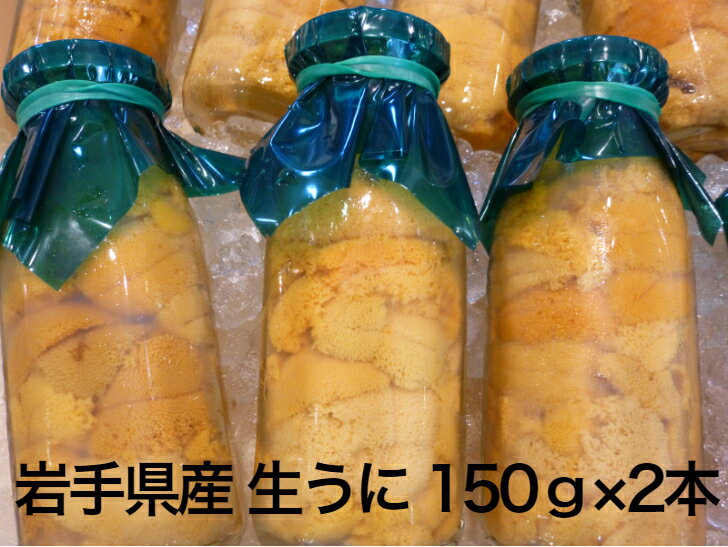 【入荷次第の発送】岩手県産 生うに 150g×2本 牛乳瓶 期間限定 三陸 釜石 生うに 送料無料 ギフト 贈り物 旬 海鮮 無添加 ミョウバン不使用 ムラサキウニ 瓶うに うに丼 塩水漬け 雲丹 海鮮 うに瓶 うに お取り寄せ　晩酌 お中元 父の日