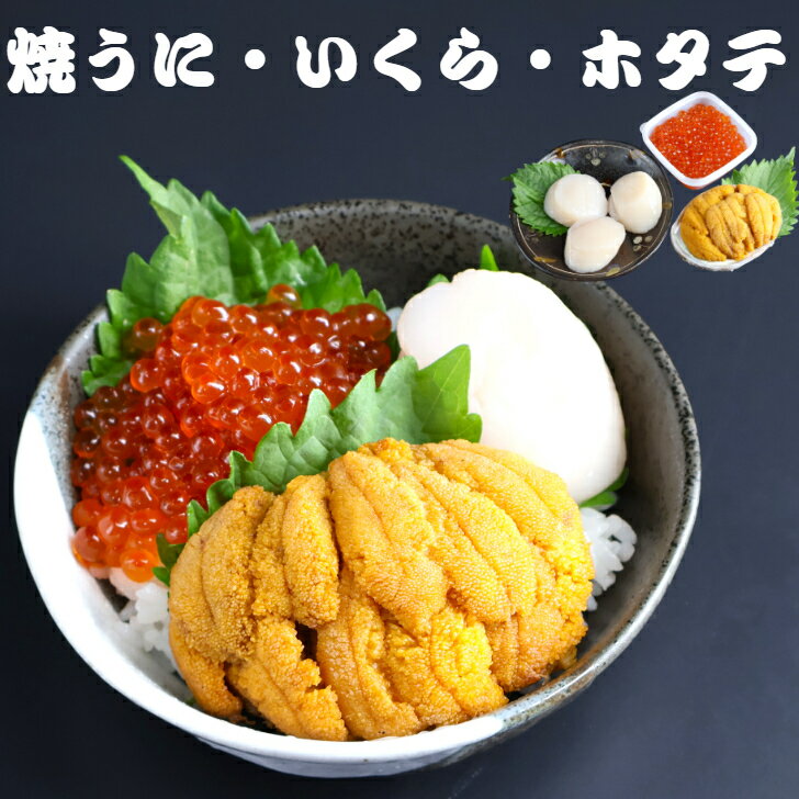 ムラサキウニ 【送料無料】 うに・いくら・ホタテ　焼うに80g×1個 いくら70g×1 ホタテ貝柱3個×1 岩手 釜石 永野商店 三陸直送 贈答 三陸 送料無料 ギフト 贈り物 旬 海鮮 無添加 ムラサキウニ 雲丹 海鮮 うに お取り寄せ 晩酌 焼きうに 海鮮丼 炊き込みご飯