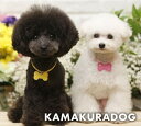 【犬の首輪】【犬 首輪】【猫の首輪】ネームタグ★ネックレス