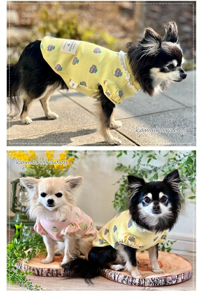 【犬の服】パフチューリップシャツの紹介画像3