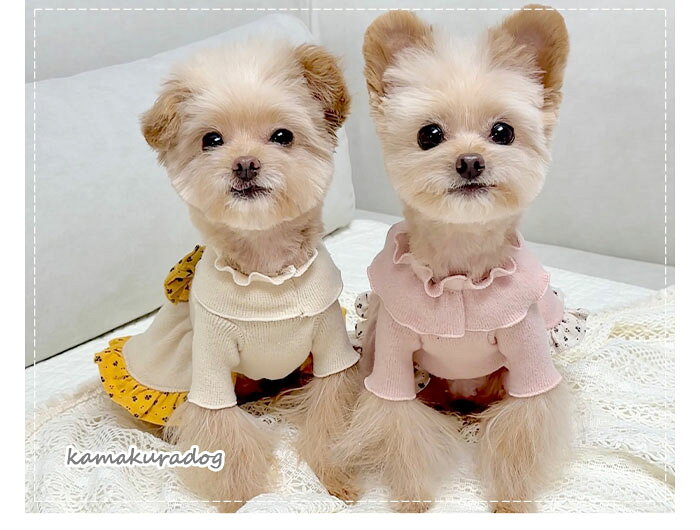 鎌倉DOG2号店の【犬 ワンピース】ラップフリルワンピース 鎌倉DOG ワンピース 人気｜アングル3