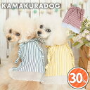 【犬の服】ストライプ&レーシーチュニック