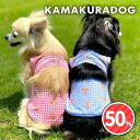【9/1(月)限定!全品ポイント2倍!】【犬の服】くまちゃんバカンスウェア