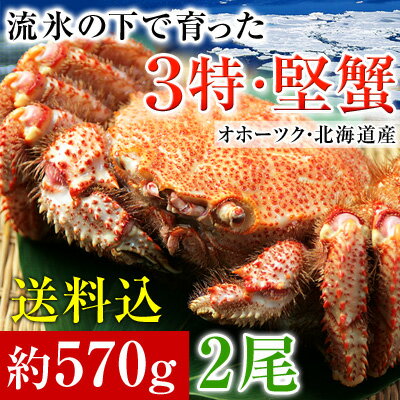 カニ味噌たっぷり、身入りも抜群「3特堅蟹」と呼ばれる北海道産の毛ガニを入荷!