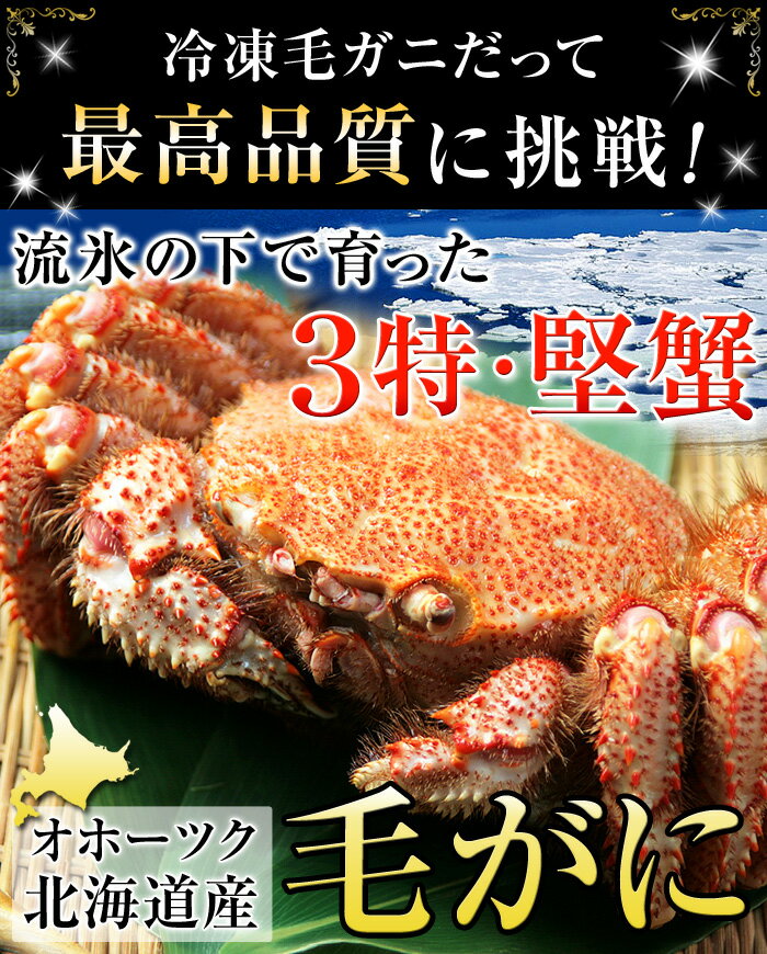 毛ガニ かに 【流氷の下で育った、3特堅蟹・姿毛がに 1尾あたり約800g 2尾 】 特大 毛がに 毛蟹 堅蟹 北海道 オホーツク ボイル冷凍 超特大サイズ 父の日ギフト 父の日プレゼント 父の日 カニ プレゼント ギフト 海鮮 お取り寄せ あす楽