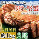 毛ガニ かに 【流氷の下で育った、3特堅蟹・姿毛がに 1尾あ...