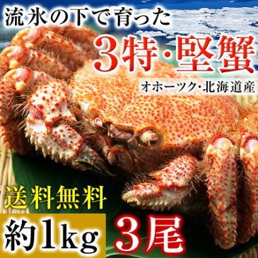 毛ガニ 特大 【流氷の下で育った、3特堅蟹・姿毛がに 1尾あたり約1kg 3尾 】 毛がに 毛蟹 堅蟹 北海道 オホーツク ボイル冷凍 超特大サイズ かに カニ【稀に「足折れ」の場合があります】 お取り寄せ あす楽