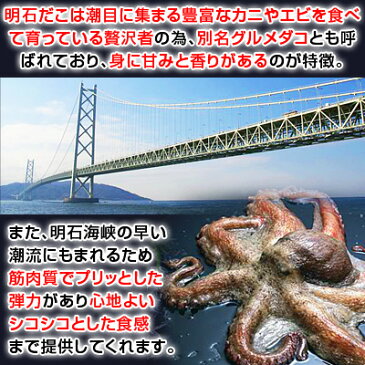 明石だこのやわらか煮(全量200g・固形タコ80g)5パック送料込みセット【 年末年始 お正月 おせち 料理 オードブル ごちそう おせち料理 自分で作るおせちにも!】