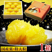 栗きんとん お歳暮 栗金団 【金時芋あんの 国産 特大粒 栗きんとん 500g 1箱】 御歳暮 惣菜 食品 冬ギフト お歳暮ギフト お年賀 くりきんとん おせち料理 単品おせち お節 単品 おせち お節料理 お正月 グルメ ギフト【冬季限定製造】