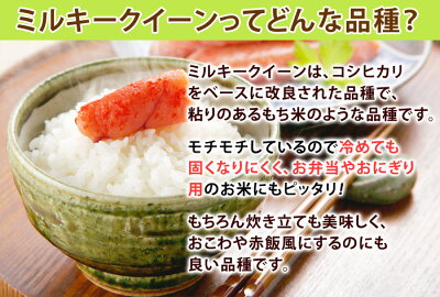 福島県産ミルキークイーン白米5kg【送料無料】