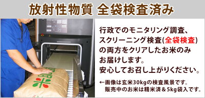 福島県産ミルキークイーン白米5kg【送料無料】