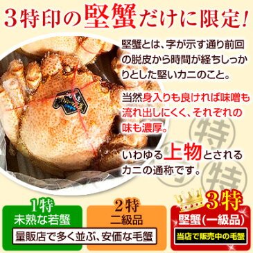 毛蟹 【流氷の下で育った、3特堅蟹・姿毛がに 1尾あたり約570g 3尾 】 毛ガニ 毛がに 堅蟹 北海道 オホーツク ボイル冷凍 かに カニ【稀に「足折れ」の場合があります】 お取り寄せ あす楽