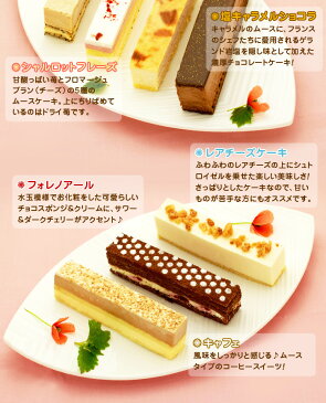 お歳暮 ギフト 送料無料 スイーツ【10種類の スティック ケーキ ×1】 誕生日プレゼント 女性 お母様 誕生日ケーキ に大人気♪ スイーツ プレゼント クリスマスプレゼント クリスマス パーティー 料理 オードブル 御歳暮 お取り寄せ あす楽