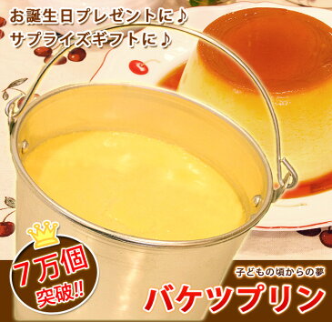 子供 や 友達 への 誕生日プレゼント に【アリスの バケツプリン 】 子供 送料無料 通販用 冷凍 誕生日ケーキ パーティー かわいい 誕生日ギフト プレゼント スイーツ スイーツギフト プリン ぷりん あす楽【あす楽地域なら18日14時までの注文で敬老の日ギフトまだ間に合う】